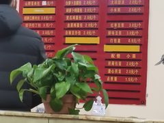 -大邱大包