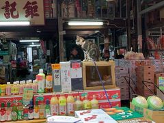 -油麻地果栏