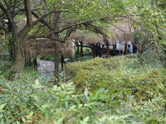 iphone_upload_pic-西湖茶墅