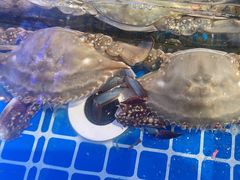 -77号渔船·蒸海鲜青岛菜(积米崖店)