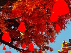 -中华郡文化旅游景区
