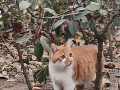 -敬亭山风景名胜区