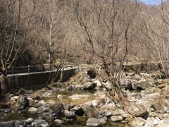 景点-牛背梁国家森林公园