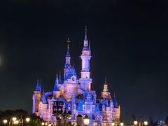 -上海迪士尼度假区