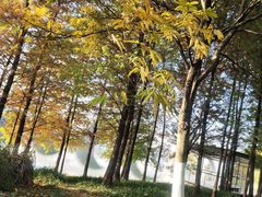 景点-尚贤河湿地