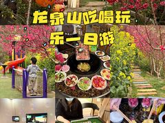 -桃源山庄·水蜜桃采摘·柴火鸡·烧烤团建(龙泉山店)
