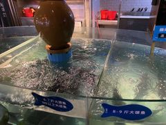 -坛宗剁椒鱼头(河西王府井店)