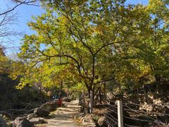 -北京密云天门山风景区