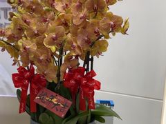 -泰康拜博口腔(世博园乐尔店)