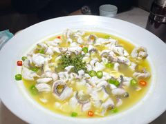 -青花椒花椒鱼(合生汇店)