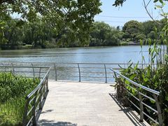 -九里河湿地公园