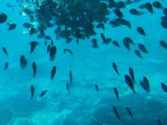 -亚龙湾海底世界