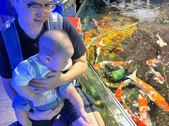 -太平洋海底世界