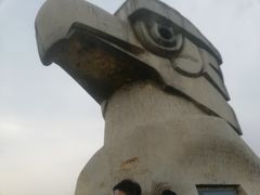-大金鹰园