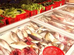 -长平老姿娘夜粥(平东一街店)