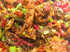 -老号尤兔头(幸福店)