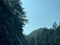 -四明山国家森林公园