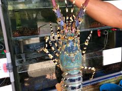 -量贩海鲜餐厅