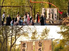 -金子山原生态旅游风景区