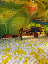 -宝燕乐园(闵行旗舰店)