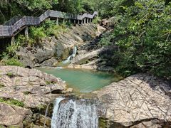 -广州白江湖森林公园