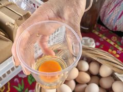 -马陆小张葡萄园农家乐