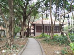 -长安公园
