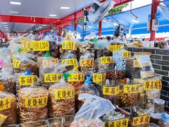 -大湾区中央湿地公园-十九涌