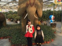 -天源吉布世温泉水乐园