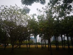 -万绿园