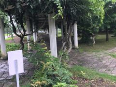 -苏州上方山国家森林公园