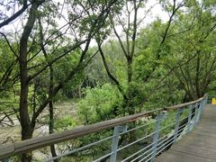 -西湖风景区-江洋畈生态公园
