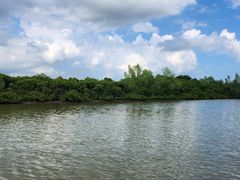 -东寨港红树林旅游区