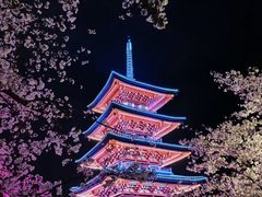 -东湖生态旅游风景区