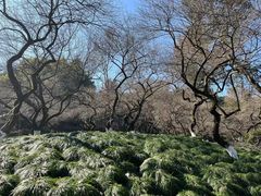 -杭州植物园