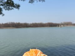 -东湖落雁景区