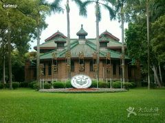 -中山大学学者灵芝(园南路店)