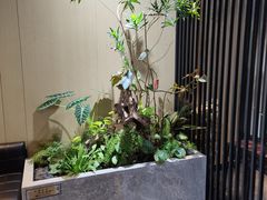 -君思港湾(富强店)