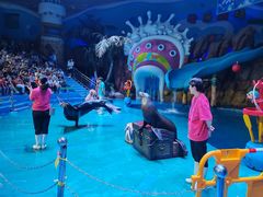 -烟台海昌鲸鲨海洋公园