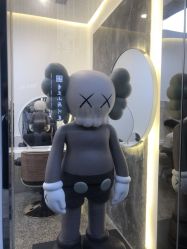 -Rise Hair上升造型