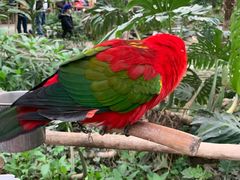 -南宫五洲植物乐园