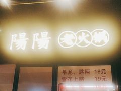 -阳阳老火锅(小南门店)