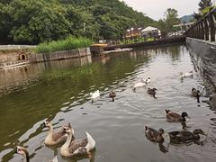 -荷塘味道(水长城店)