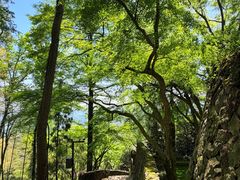 -莫干山风景区