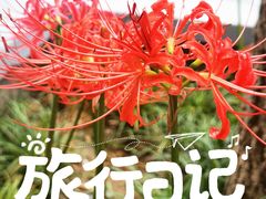 -西安大兴善寺