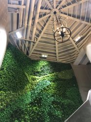 点击看大图 -雅曼妮spa美容养生