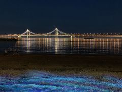 -星海湾跨海大桥