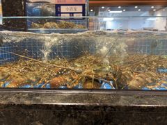 -海月轩海鲜豆捞(紫金塔店)