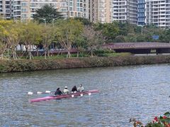 -福田红树林生态公园