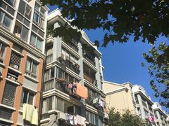 -南翔镇银翔湖公园